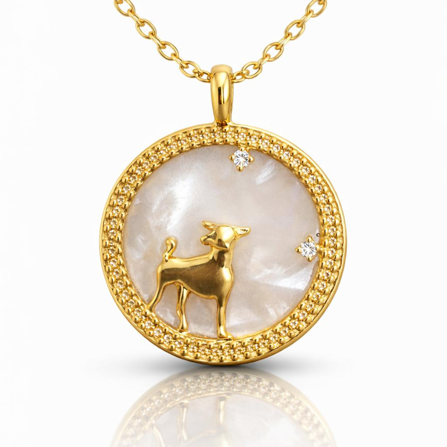 Collier horoscope - acier inoxydable