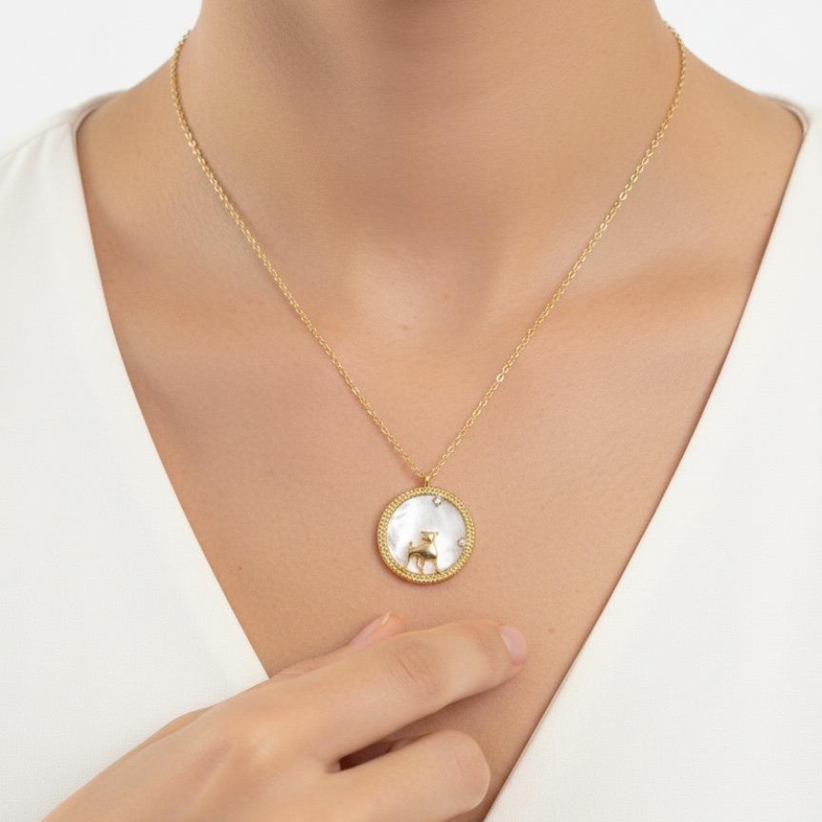 Collier horoscope - acier inoxydable
